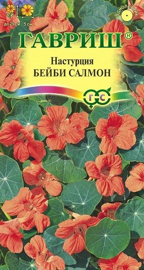 Настурция Бейби Салмон (Код: 90682)