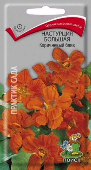 Настурция Большая Коричневый Блик (Код: 65973)