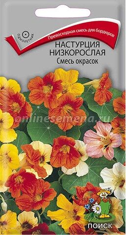 Настурция смесь окрасок Низкорослая (Код: 65556)