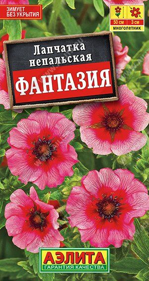 Лапчатка Фантазия (Код: 90574)