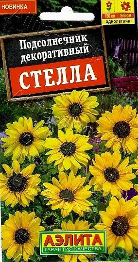 Подсолнечник Стелла (Код: 90360)