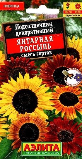 Подсолнечник Янтарная Россыпь (Код: 90361)