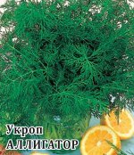 Укроп Ришелье 25,0 г