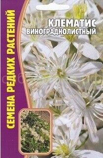 Клематис Винограднолистный (Редкие)