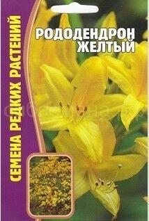 Рододендрон Желтый (Редкие)