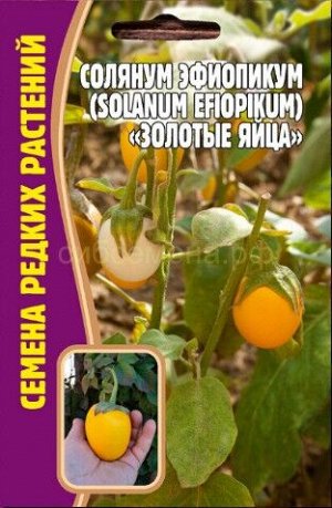 Соляниум эфиопикум Золотые яйца (Редкие)