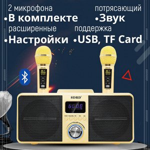 Портативная караоке система SDRD SD-309 Bluetooth, 2 микрофона