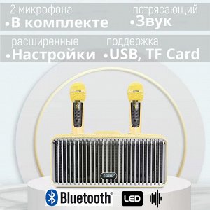 Портативная караоке система SDRD SD-319 Bluetooth, 2 микрофона