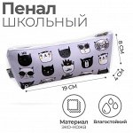 Пенал &quot;Следуй за мной&quot;, 19 х 8 см, зеркальный, серебритсый/перламутр