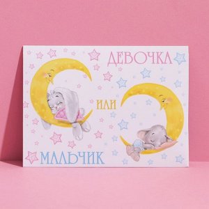 Конверт подарочный «Мальчик или девочка», 15×11см