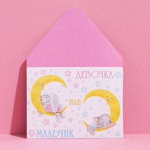 Конверт подарочный «Мальчик или девочка», 15 ? 11 см