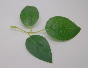Листья из ткани