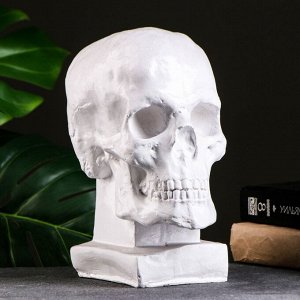 Копилка "Череп" белая, 23х19см