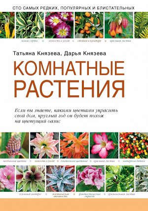 Князева Т.П., Князева Д.В.