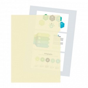 Папка уголок А4 180 мкм, Calligrata DeLuxe, молочный, непрозрачный, с тиснением