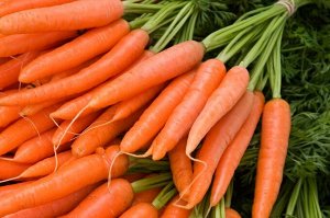 Семена Морковь Медовая