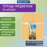 Тетрадь предметная &quot;DELIGHT&quot; 48 л., обложка картон, АЛГЕБРА, клетка, BRAUBERG, 404568