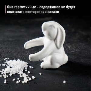 Набор для специй Доляна «Зайка», солонка 50 мл, перечница 40 мл, доломит, белый