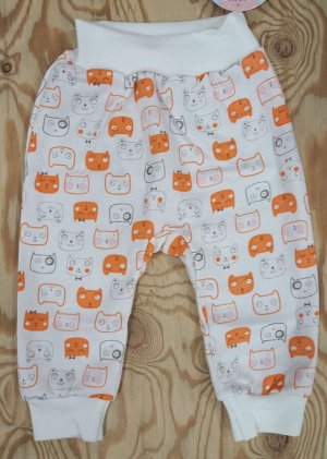 Ползунки (штанишки) с начесом детские короткие на манжете хлопок цвет Оранжевые кошки