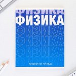 Предметная тетрадь, 48 листов, « ГРАДИЕНТ», со справочными материалами «Физика», обложка мелованный картон 230 гр., внутренний блок в клетку 80 гр., белизна 96%,блок №1.