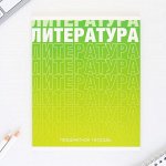 Предметная тетрадь, 48 листов, « ГРАДИЕНТ», со справочными материалами «Литература», обложка мелованный картон 230 гр., внутренний блок в линейку 80 гр., белизна 96%,блок №1.