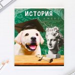 Предметная тетрадь, 48 листов, « в МИЛЫЕ ПИТОМЦЫ », со справочными материалами «История», обложка мелованный картон 230 гр., внутренний блок в клетку 80 гр., белизна 96%,блок №1.