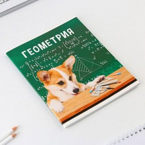 Предметная тетрадь, 48 листов, « МИЛЫЕ ПИТОМЦЫ», со справочными материалами «Геометрия», обложка мелованный картон 230 гр., внутренний блок в клетку 80 гр., белизна 96%,блок №1.