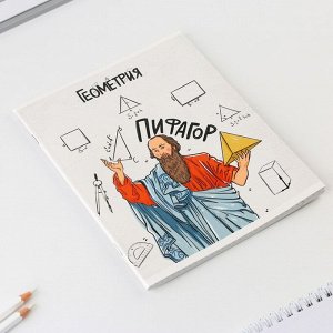 Тетрадь предметная 48 листов «Геометрия», А5, в клетку, со справочными материалами, обложка мелованный картон 230 г