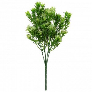 Букет "Пеларгония" 30см, бело-зеленый (Китай)