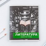 Предметная тетрадь, 48 листов, «ПРЕДМЕТЫ », со справочными материалами «Литература», обложка мелованный картон 230 гр., внутренний блок в линейку 80 гр., белизна до 80%, блок №2.