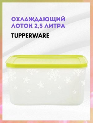 Охлаждающий лоток 2,5 литра Tupperware™