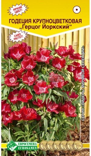 Цветы Годеция Герцог Йорский ЦВ/П (ЕС) 0,1гр однолетник 45см