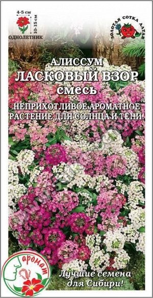 Цветы Алиссум Ласковый взор Смесь ЦВ/П (СОТКА) 0,1гр однолетник 10-15см