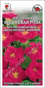 Цветы Настурция Вишневая Роза ЦВ/П (Сотка) 0,5гр однолетник 20-30см
