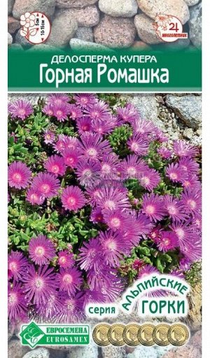 Цветы Горная ромашка, 8 шт