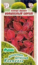 Цветы Колеус блюме Волшебный бархат ЦВ/П (ЕС) 10шт однолетник 36см