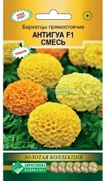 Цветы Бархатцы F1 Антигуа Смесь ЦВ/П (ЕС) 10шт прямостоячие однолетник 20-25см