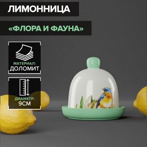 Лимонница Доляна «Флора и Фауна», 9х9 см 7550304
