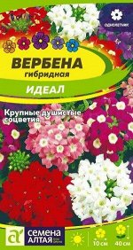 Цветы Вербена Идеал гибридная/Сем Алт/цп 0,1гр.