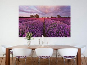 Lavendel 184 x 127 cm на бумажной основе