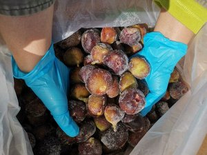 Инжир бухарский замороженный 5 кг