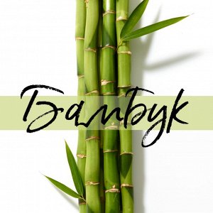 Pantene  Шампунь для волос Укрепление от корней до кончиков с Бамбуком и Биотином 250 мл  Pro V Пантин