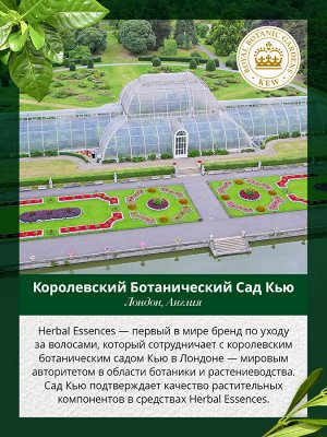 Шампунь для тонких, лишенных объема волос Белый грейпфрут и Мята Herbal Essences, 400 мл