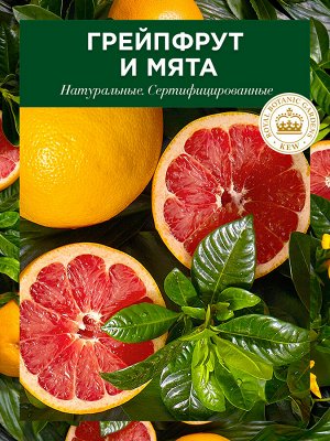 Шампунь для тонких, лишенных объема волос Белый грейпфрут и Мята Herbal Essences, 400 мл