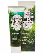 Зубная паста DC 2080 SMALAND ФОРЕСТ 100г