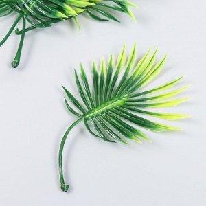 Декор для творчества "Лист пальмы на стебле" набор 5 шт зелёный градиент 8х13,5 см
