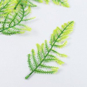 Декор для творчества "Листья лесного папоротника" набор 5 шт зелёный 15 см