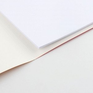 ArtFox STUDY Бумага для черчения А3, 20 листов, без рамки, белизна 100%, 200 г/м² в папке