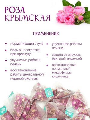 Роза крымская в пирамидке