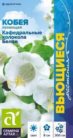 Кобея Кафедральные колокола белая 5шт